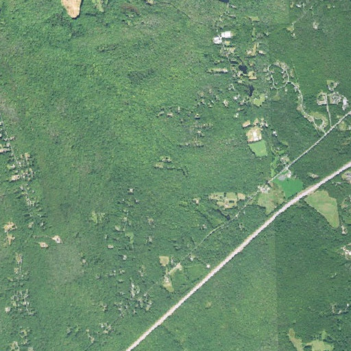 Aerial imagery of Murre Plot, RI