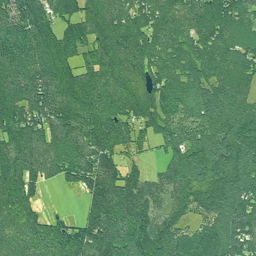 Aerial imagery of Walker Plot, RI