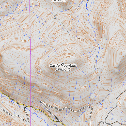 OpenTopoMap map of Cattle Mountain, CO