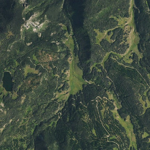 Aerial imagery of Upper Beaver Meadow, CO