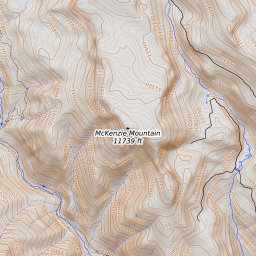 OpenTopoMap map of McKenzie Mountain, CO