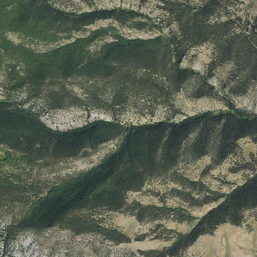 Aerial imagery of Negro Gulch, CO