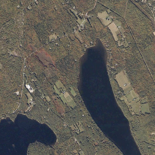 Aerial imagery of Morse Brook, ME