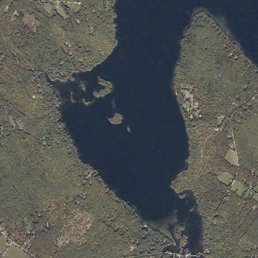 Aerial imagery of Turtle Island, ME
