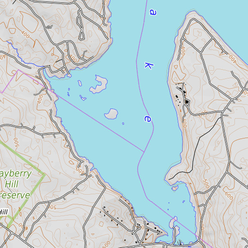 OpenTopoMap map of Turtle Island, ME