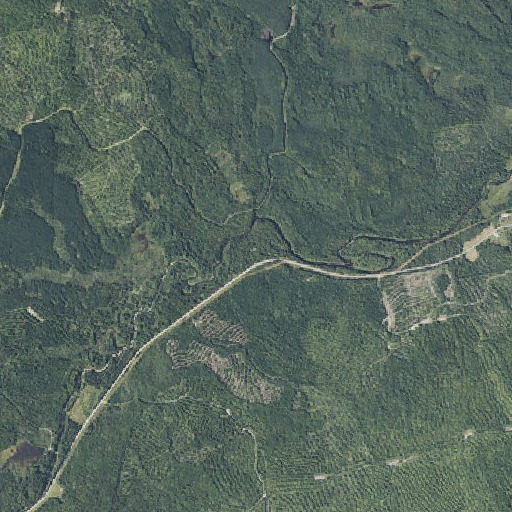 Aerial imagery of Langtown School (historical), ME