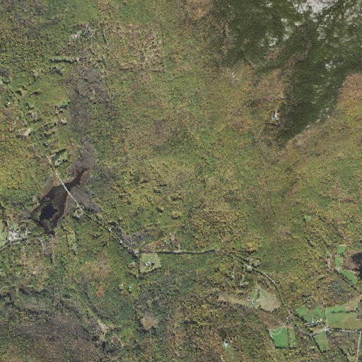 Aerial imagery of Gay State Forest, NH