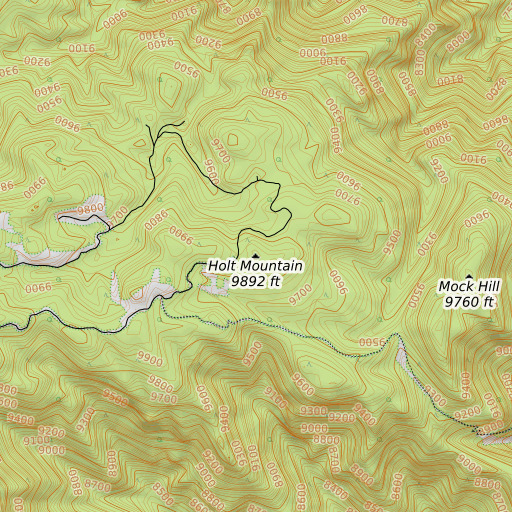 OpenTopoMap map of Holt Mountain, CO