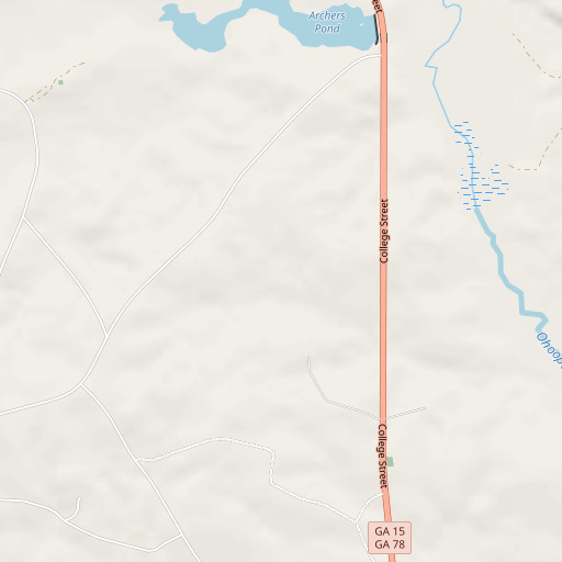 OpenStreetMap map of Adrian Division, GA