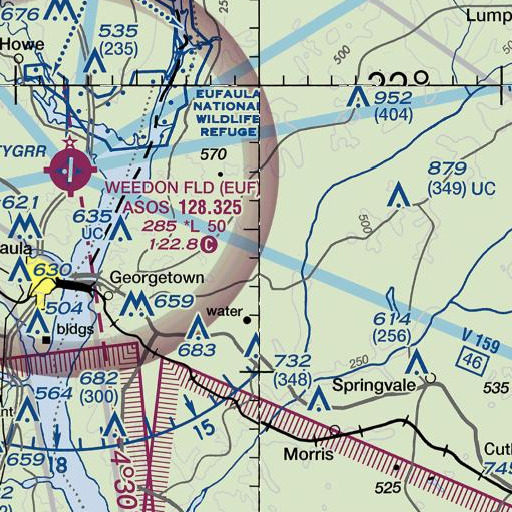 FAA VFR chart of Georgetown North Division, GA