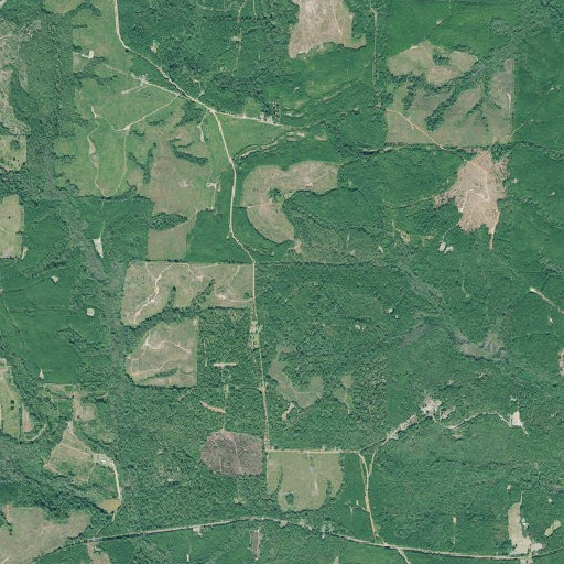 Aerial imagery of Georgetown North Division, GA