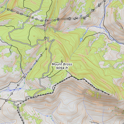 OpenTopoMap map of Mount Bross, CO