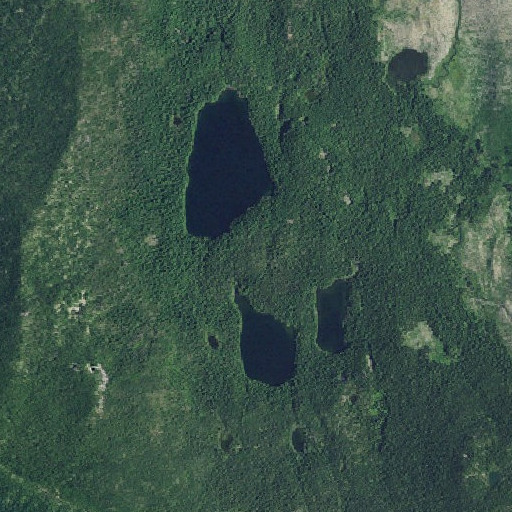 Aerial imagery of Eddeeleo Lakes, OR