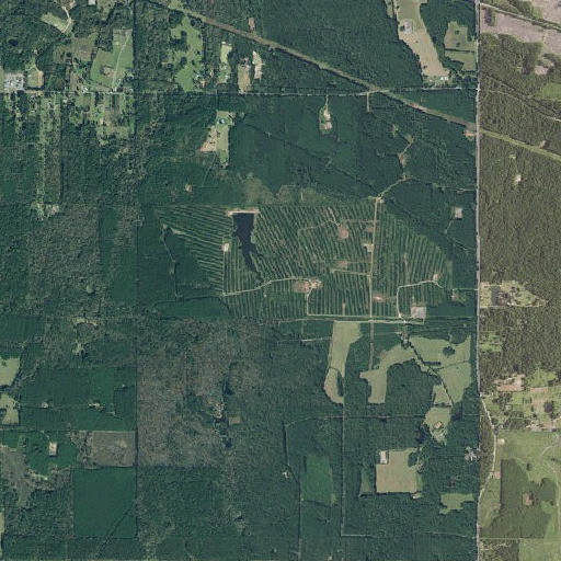 Aerial imagery of Coushatta Spring, TX