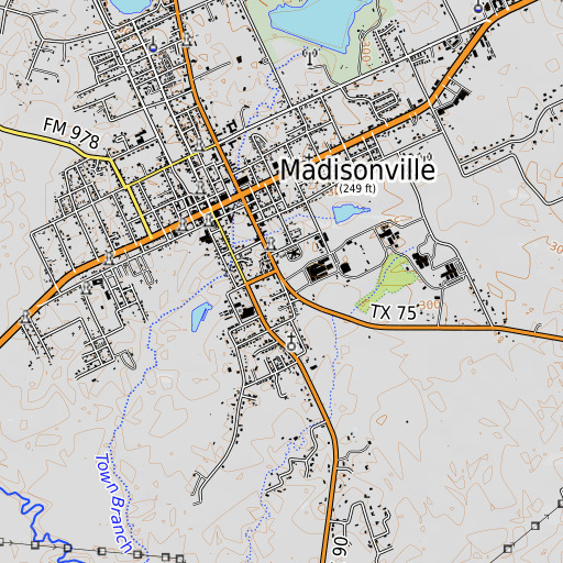OpenTopoMap map of Madisonville High School, TX
