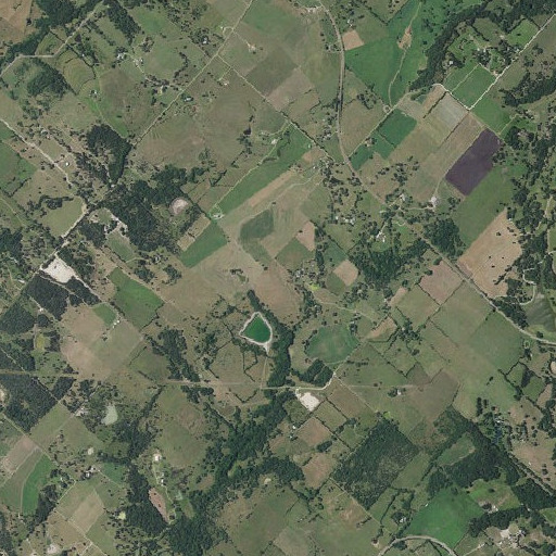 Aerial imagery of Ridgewood Branch Library, TX