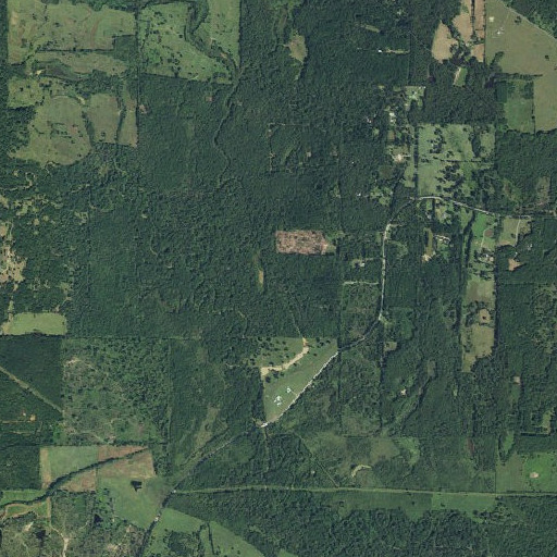 Aerial imagery of Oak Forest Branch Library, TX