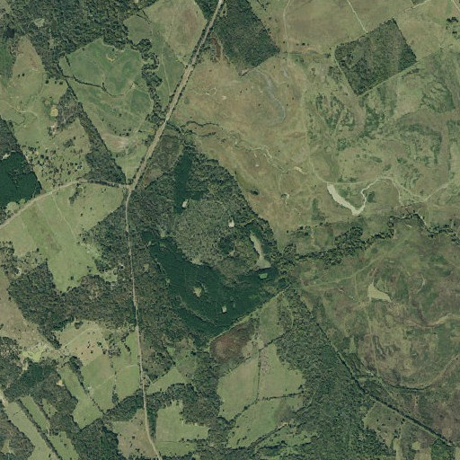 Aerial imagery of George Memorial Library, TX