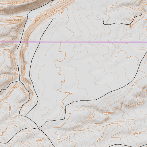 OpenTopoMap map of Diamond Field, CO