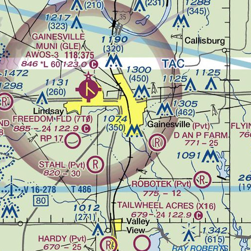 FAA VFR chart of Leopard Stadium, TX