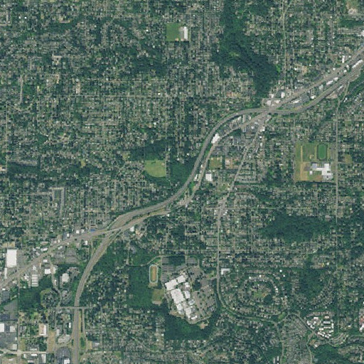 Aerial imagery of Dickinson Woods, OR