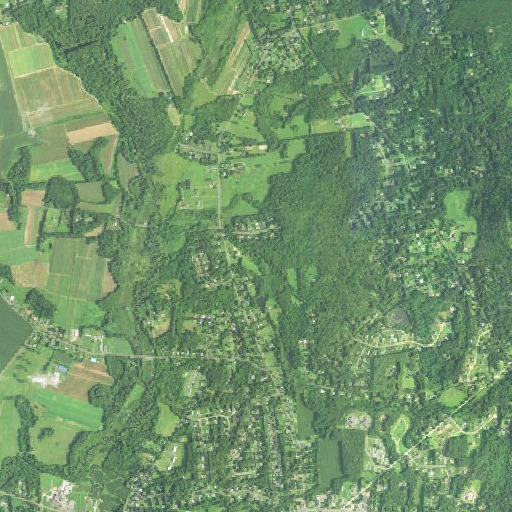 Aerial imagery of Avery Brook, CT