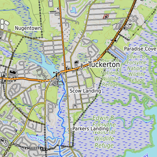 OpenTopoMap map of Tuckerton Elementary School, NJ