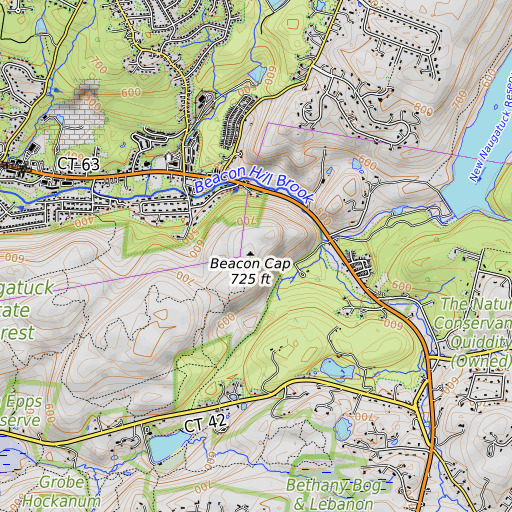 OpenTopoMap map of Beacon Cap, CT