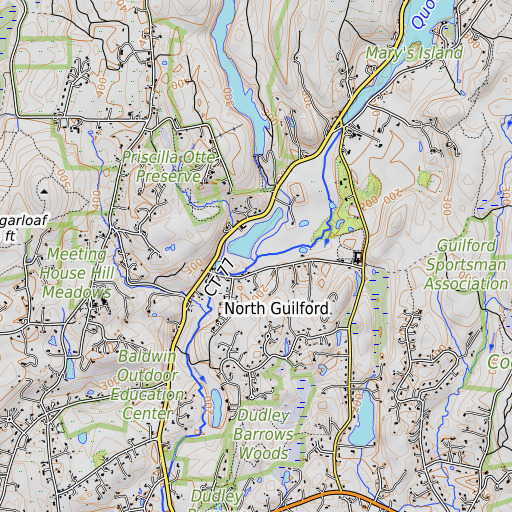 OpenTopoMap map of Branch Brook, CT