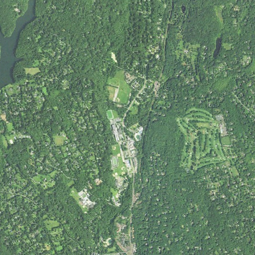 Aerial imagery of Goetzen Brook, CT