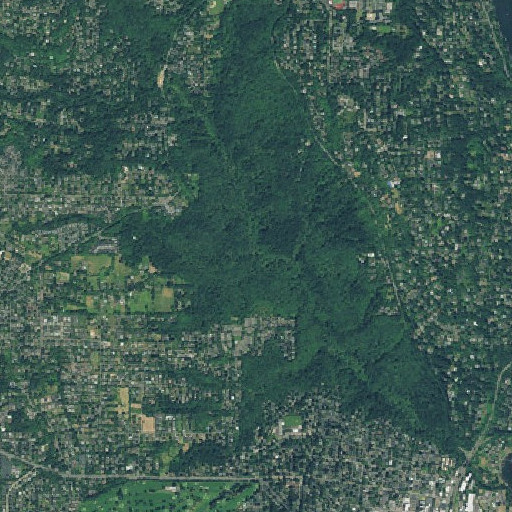 Aerial imagery of Paget Creek, OR