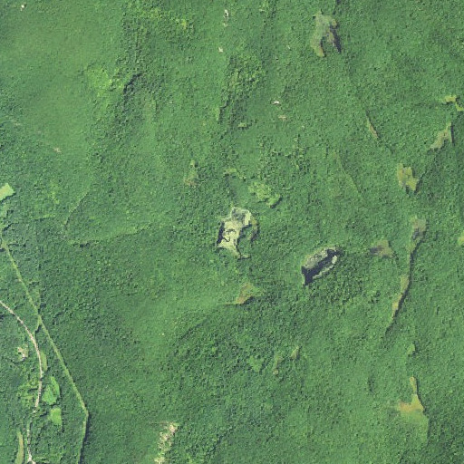Aerial imagery of Wapato Pond, CT
