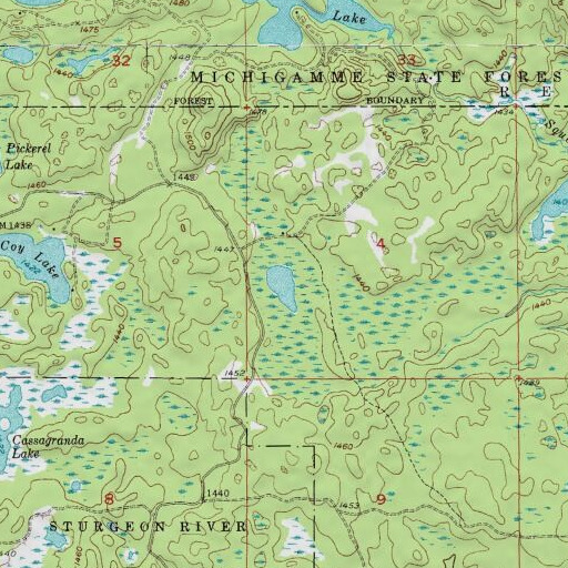 USGS 24K topo map of Lake Charles, MI