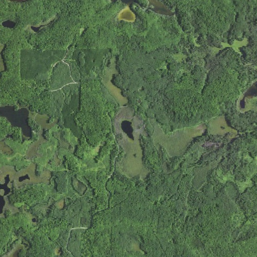 Aerial imagery of Lake Charles, MI