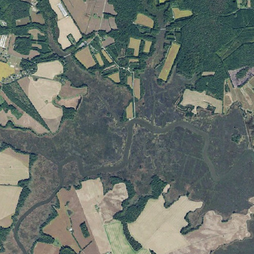 Aerial imagery of Beaverdam Branch, DE