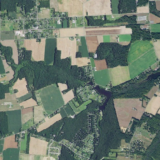 Aerial imagery of Beaverdam Branch, DE