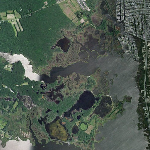 Aerial imagery of Big Sheep Hammock, DE