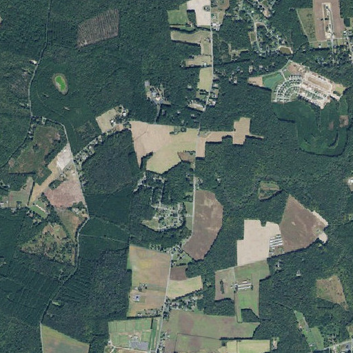 Aerial imagery of Black Savannah Ditch, DE