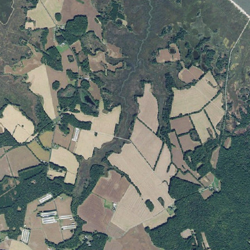 Aerial imagery of Brockonbridge Gut, DE