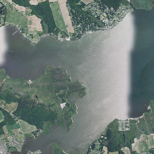 Aerial imagery of Deans Hole, DE