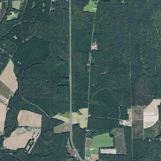 Aerial imagery of Ellendale State Forest, DE