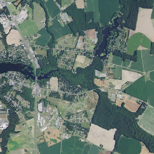 Aerial imagery of Elliott Pond Branch, DE