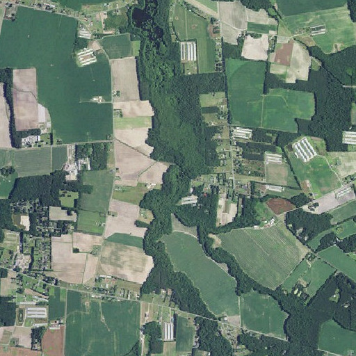 Aerial imagery of Ellis Pond, DE