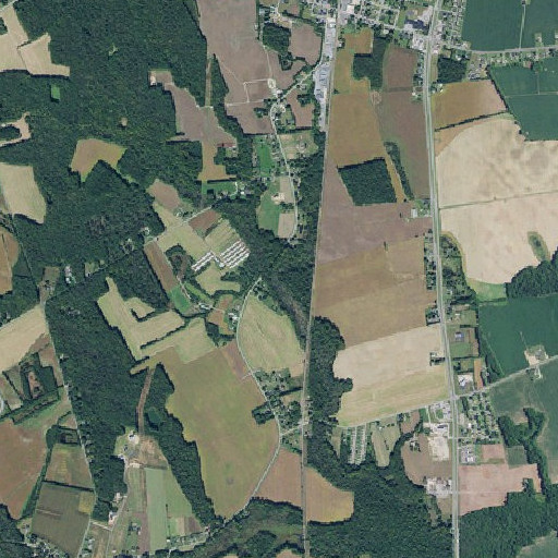 Aerial imagery of Fan Branch, DE