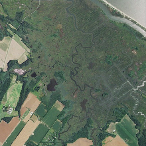 Aerial imagery of Fisher Creek, DE