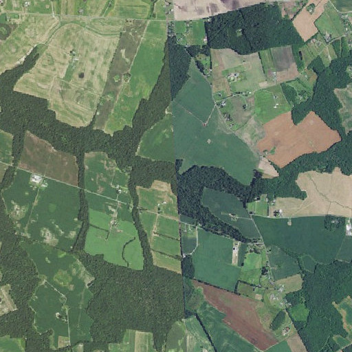 Aerial imagery of Sangston Prong, DE