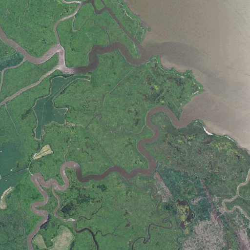 Aerial imagery of The Big Ditch, DE