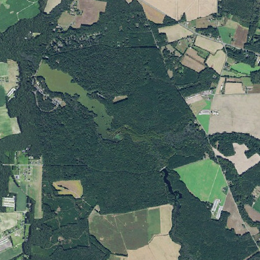 Aerial imagery of Thompson Branch, DE