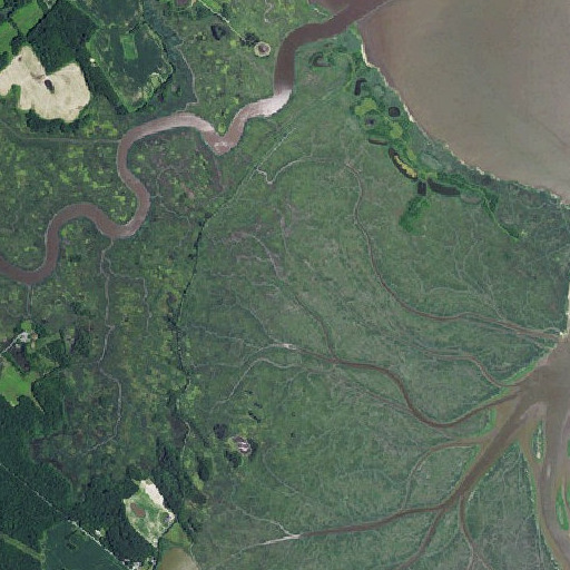 Aerial imagery of Tadpole Neck, DE