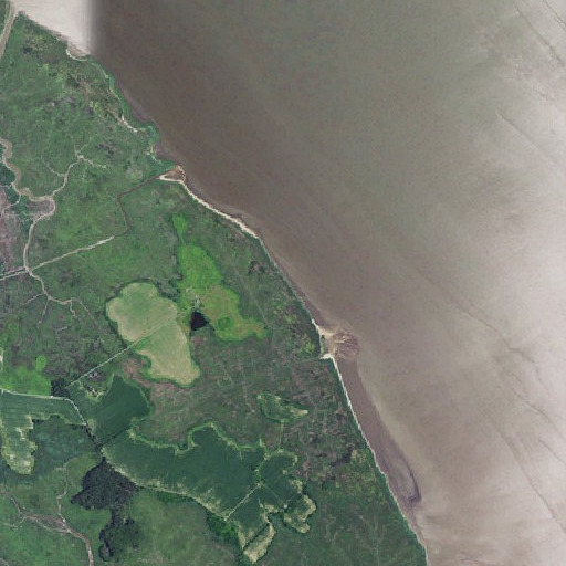 Aerial imagery of Liston Point, DE
